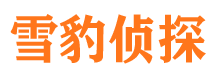 浪卡子外遇调查取证